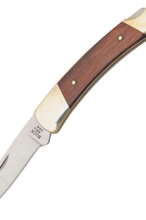 Buck 501 Squire Lockback Folding Pocket Knife