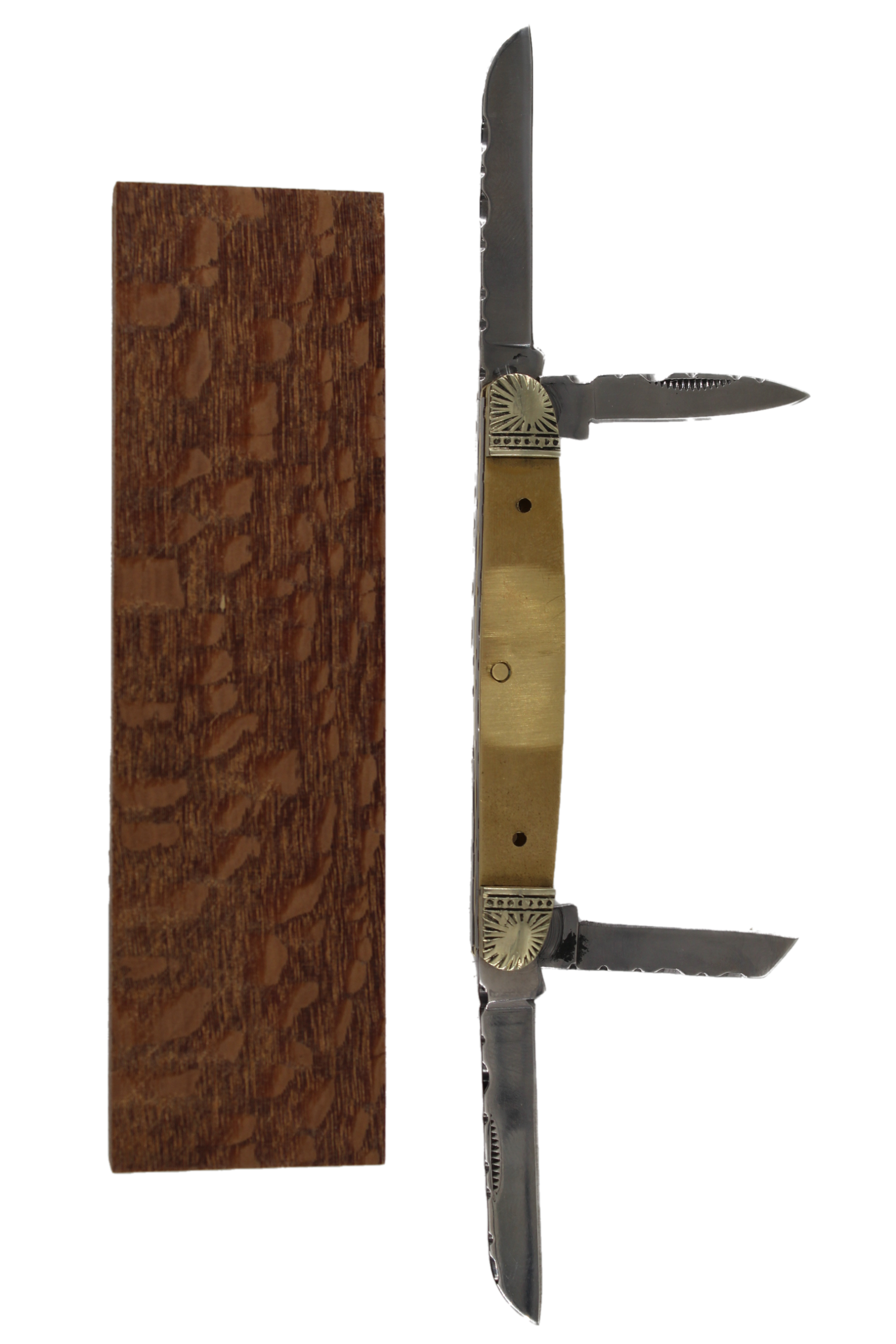 CONGRESS FOLDER KIT - S309 - LEOPARD