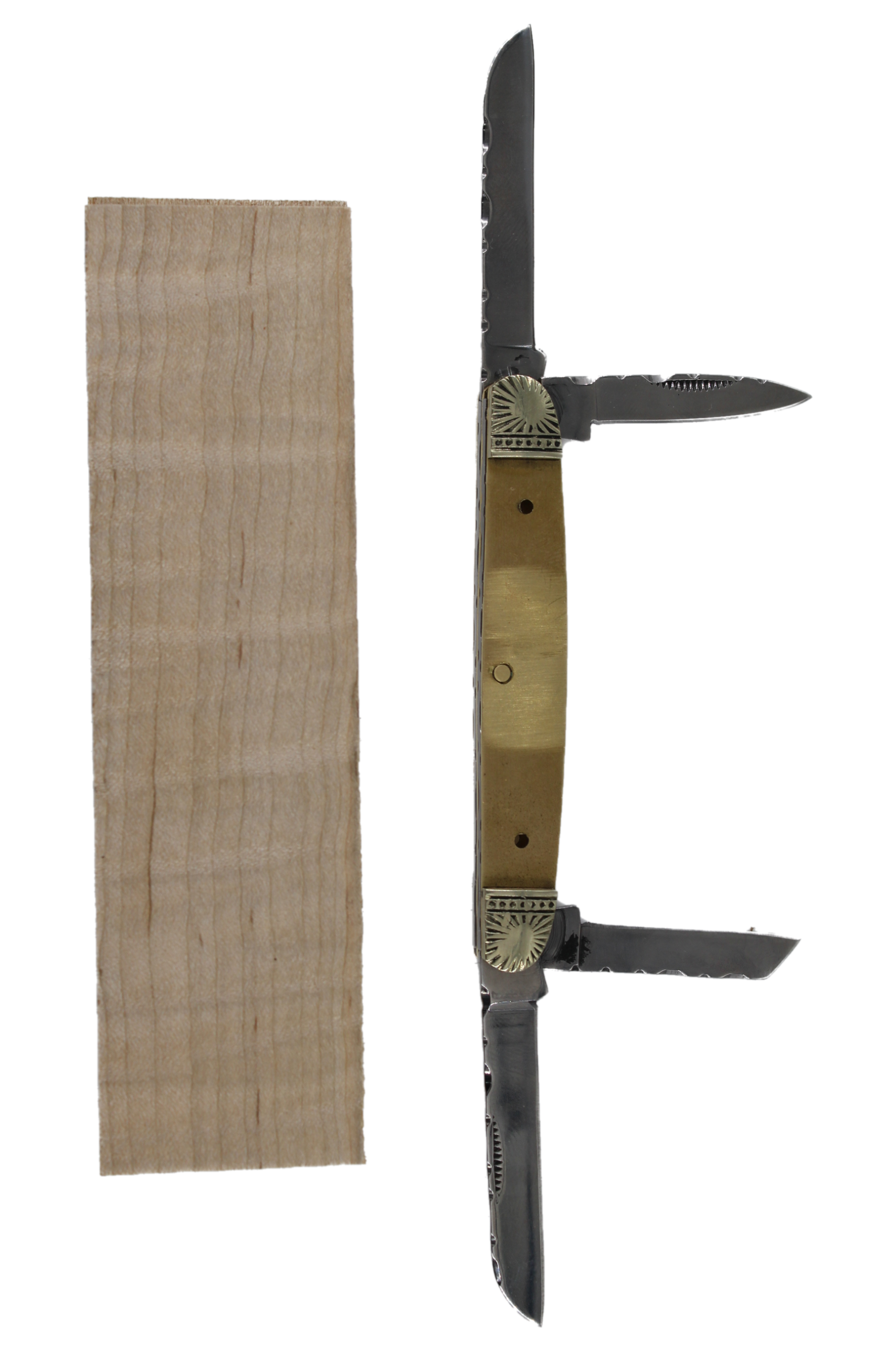CONGRESS FOLDER KIT - S309 - TIGER MAPLE